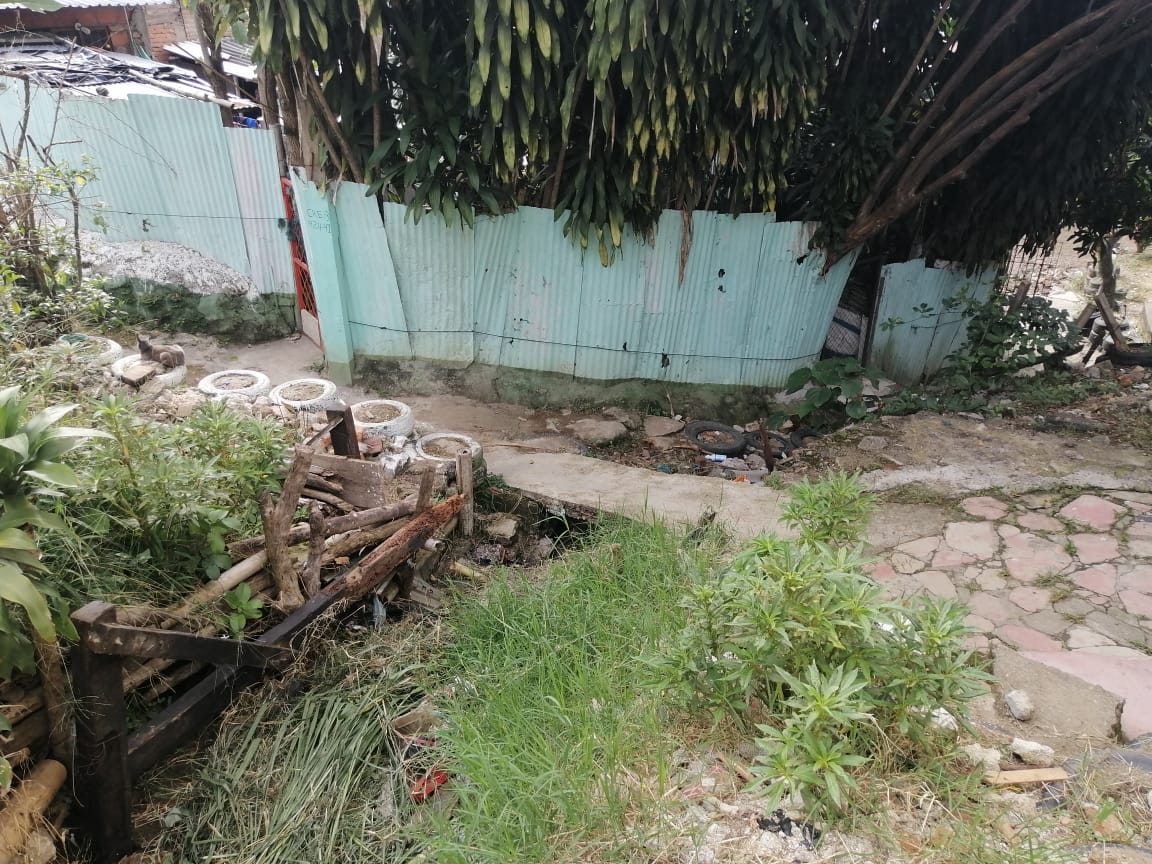 San Pedro Alejandrino