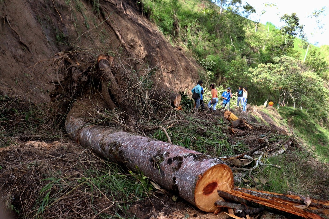 Calamidad pública en Rovira