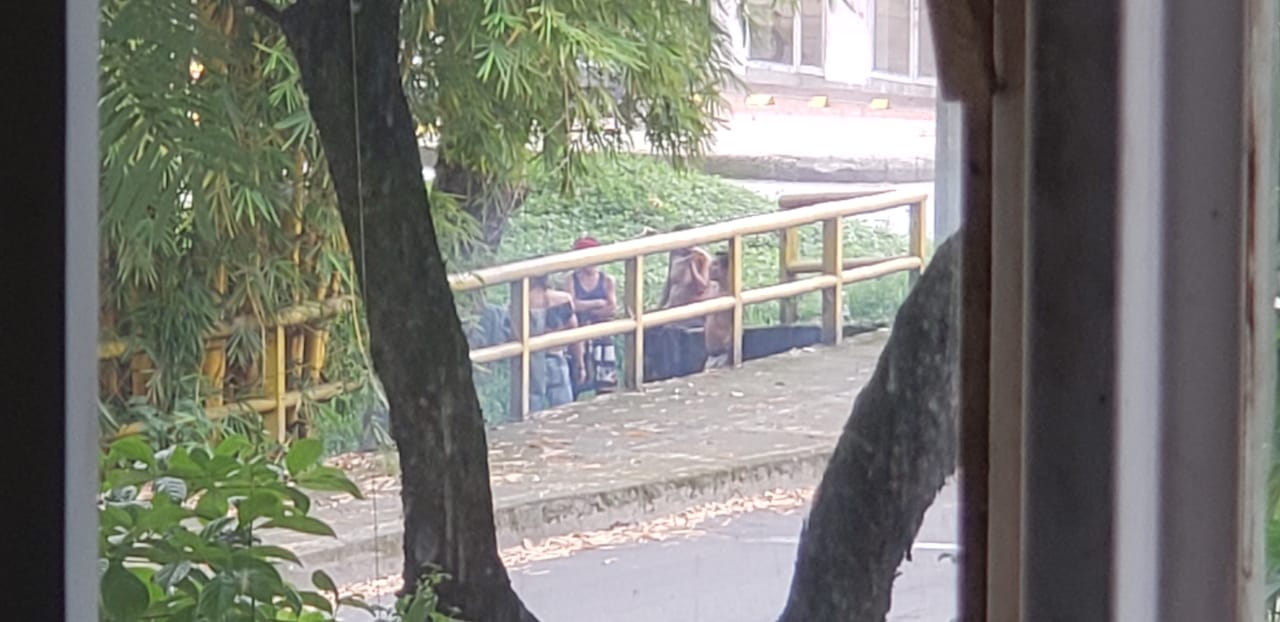 Glorieta de Cañaveral Ibagué