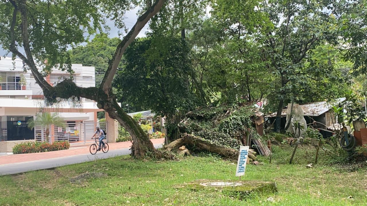 Glorieta de Cañavera