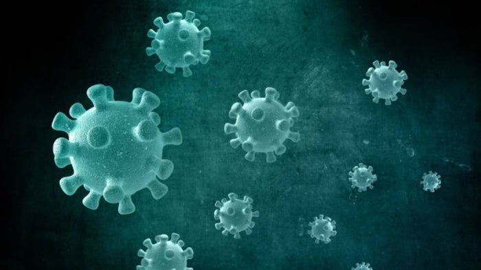 Este producto no afecta la salud humana.