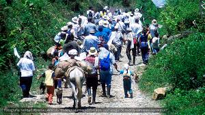 Desplazamiento de familias campesinas en Norte de Santander
