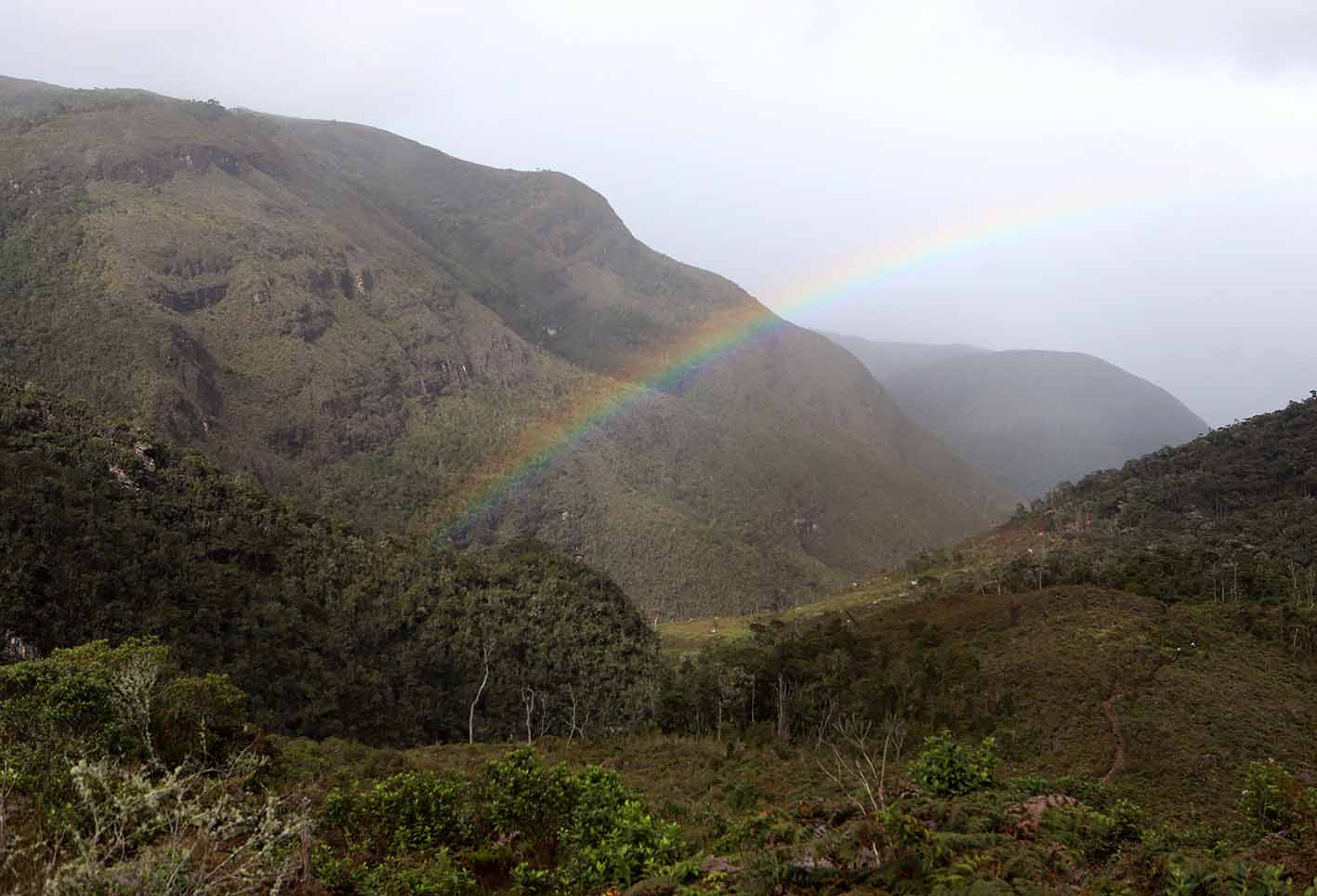 Testimonios de las mujeres campesinas que sufrieron la guerra en el Meta