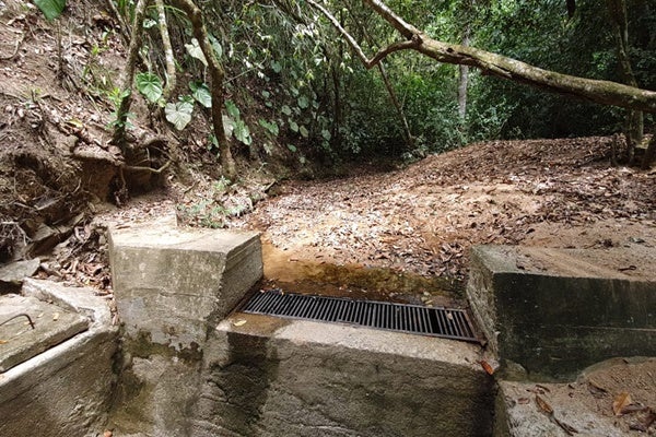 Oleada de calor ya deja sin agua al Carmen de Bulira de Ibagué