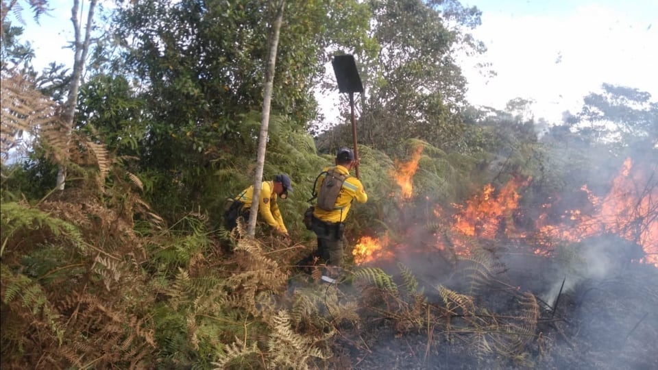 Natagaima y Armero Guayabal presentaron temperaturas de 39° y 37°