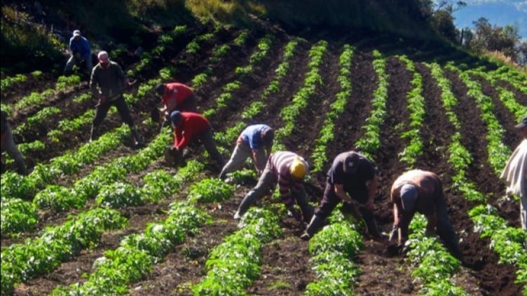 Agricultores de Repelón exigen mejoras en el servicio de energía