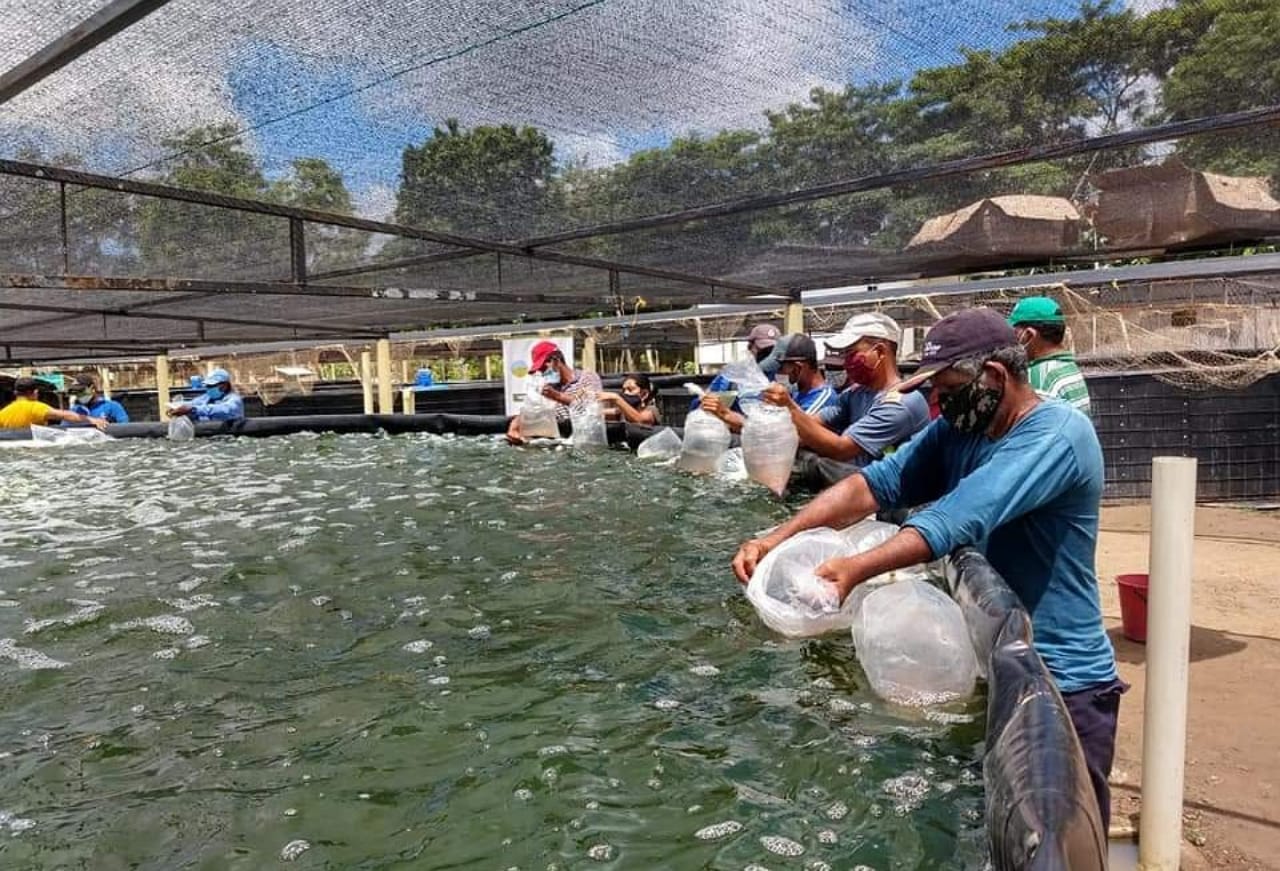 ADR- Productores en el Tolima