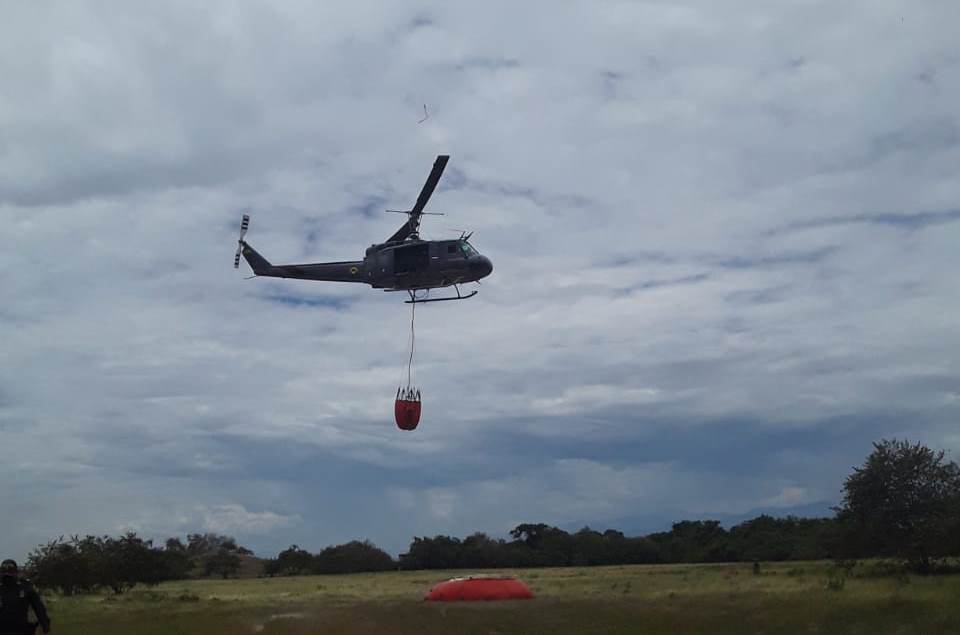 Más de 600 hectáreas afectadas