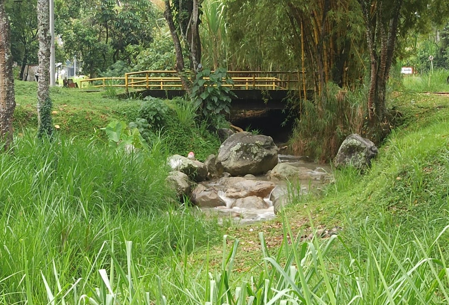 Desalojaron cambuche Cañaveral