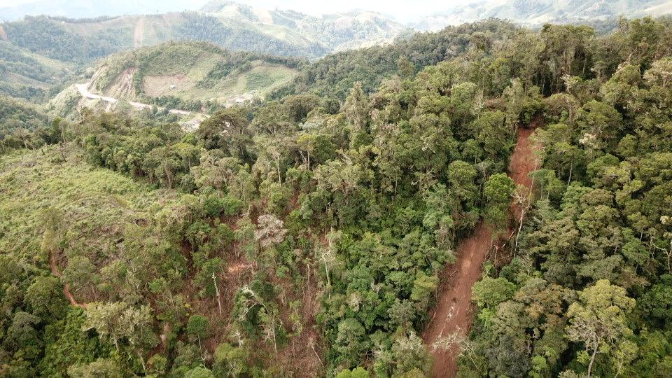 Vía Suaza Florencia