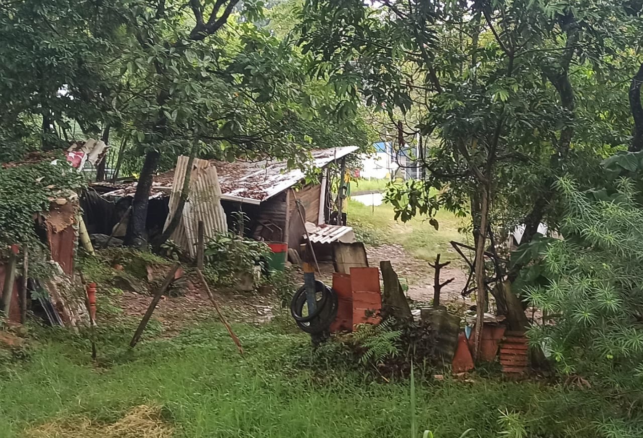 Delincuencia en la glorieta de Cañaveral