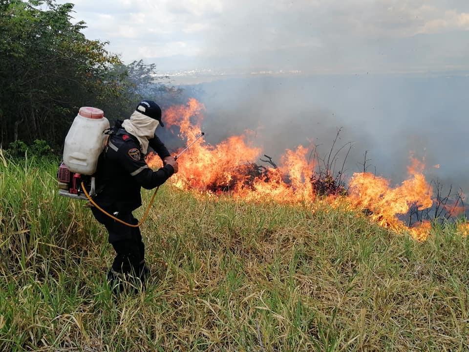 Incendio forestal en Palermo