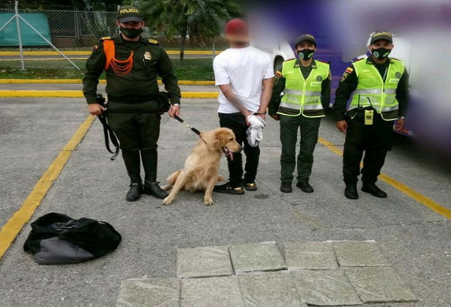 Jefry perro antinarcóticos