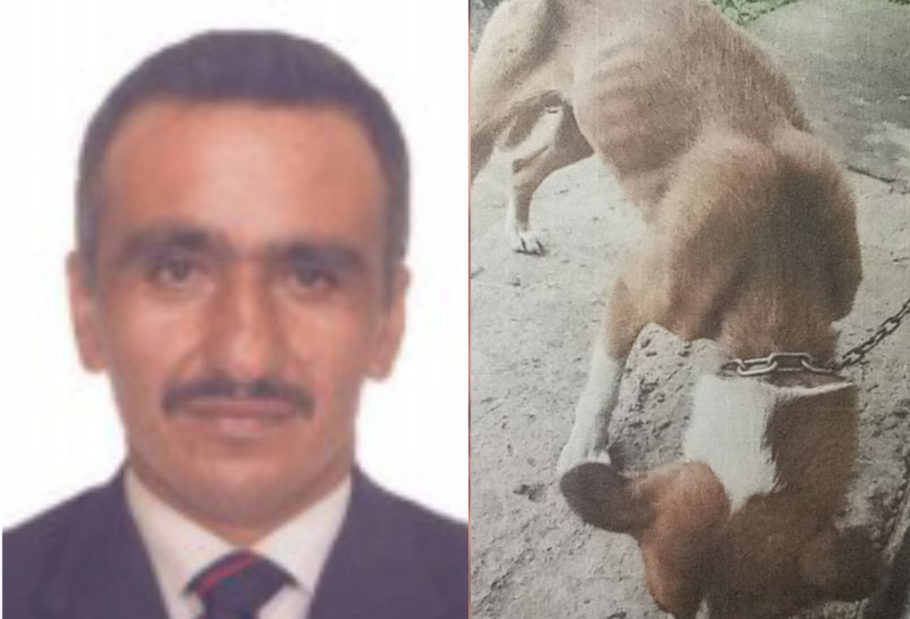 Imputado por maltrato animal en Villahermosa