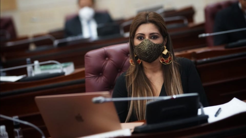 Representante a la Cámara, Adriana Matiz