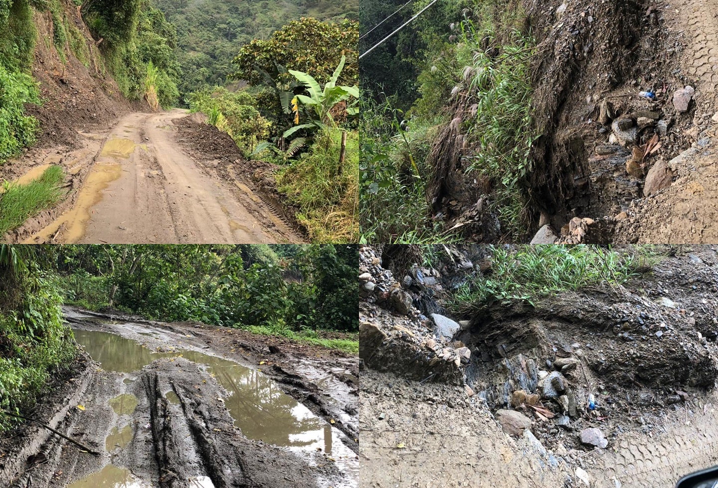 falló judicial en vía rural