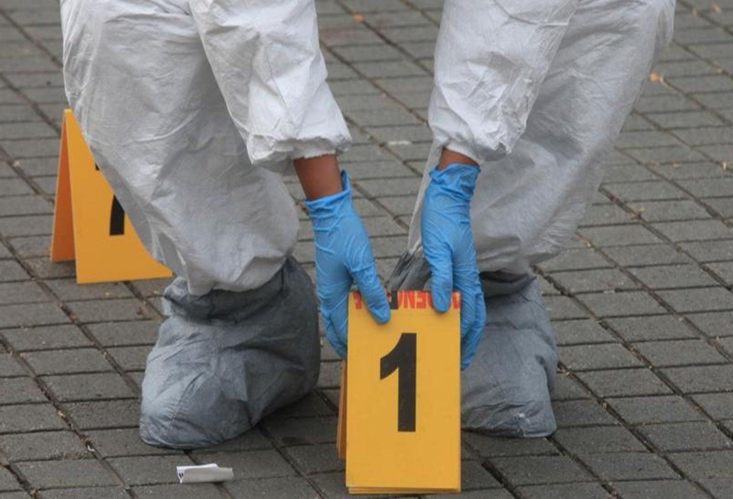 Homicidio referencia