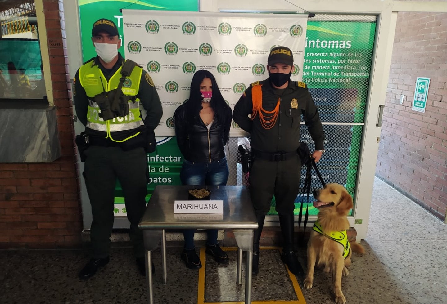 Jefry sigue olfateando a microtraficantes en la Terminal de Transportes de Ibagué