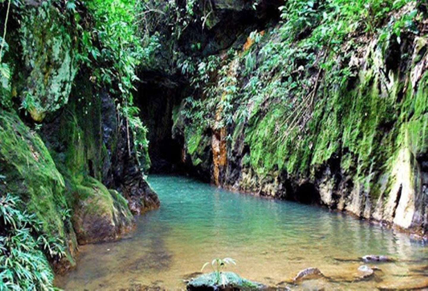 Ciudad Perdida Falan