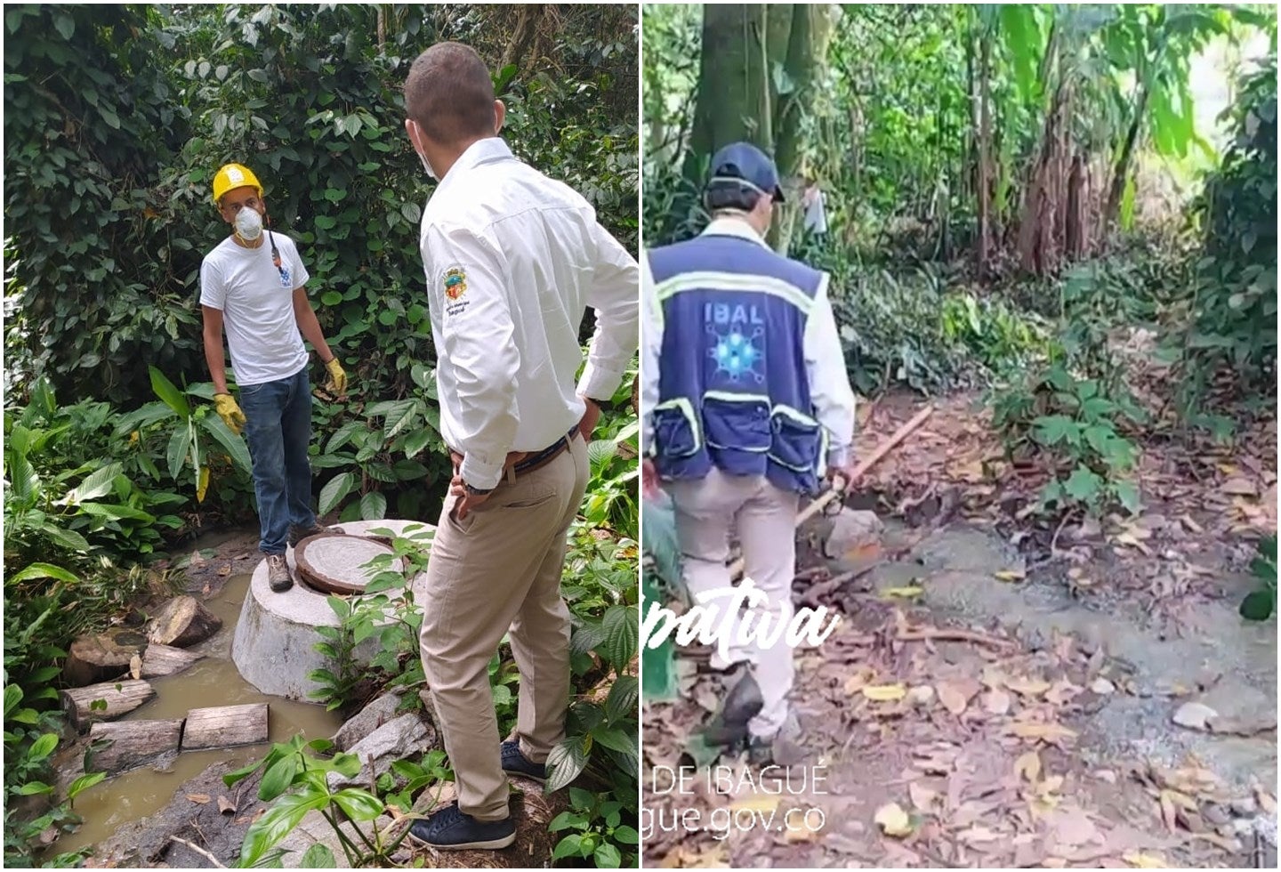 contaminación ambiental Ibagué