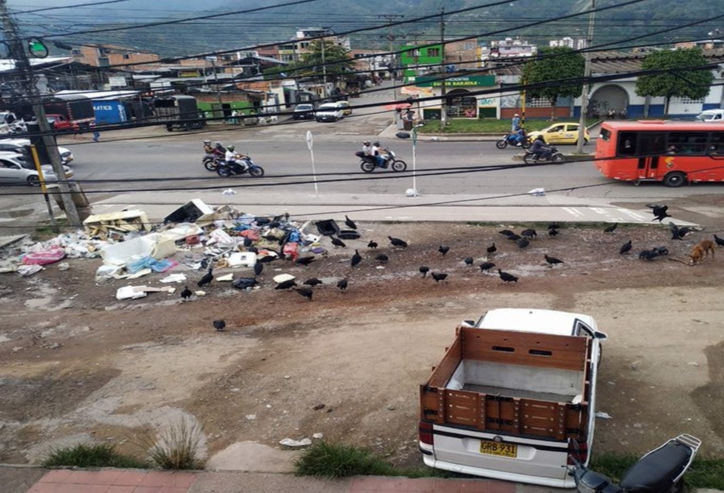 quejas por basura de Ibagué