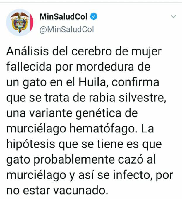 Vacunación gatos y perros