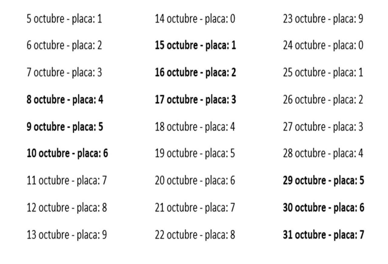 Pico y placa en bagué