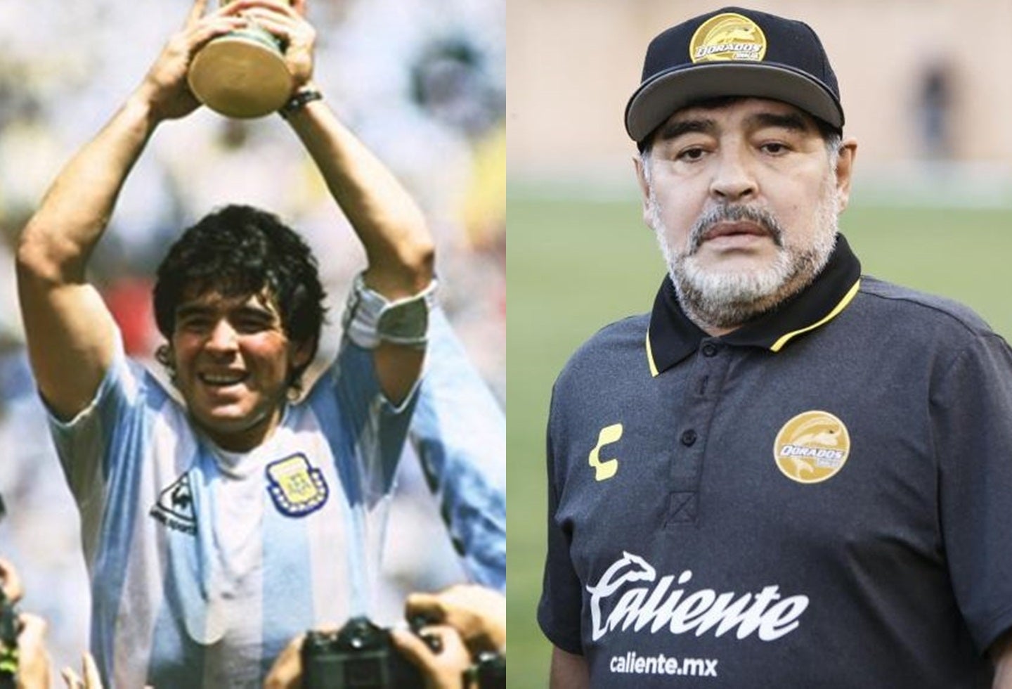 Diego Armando Maradona