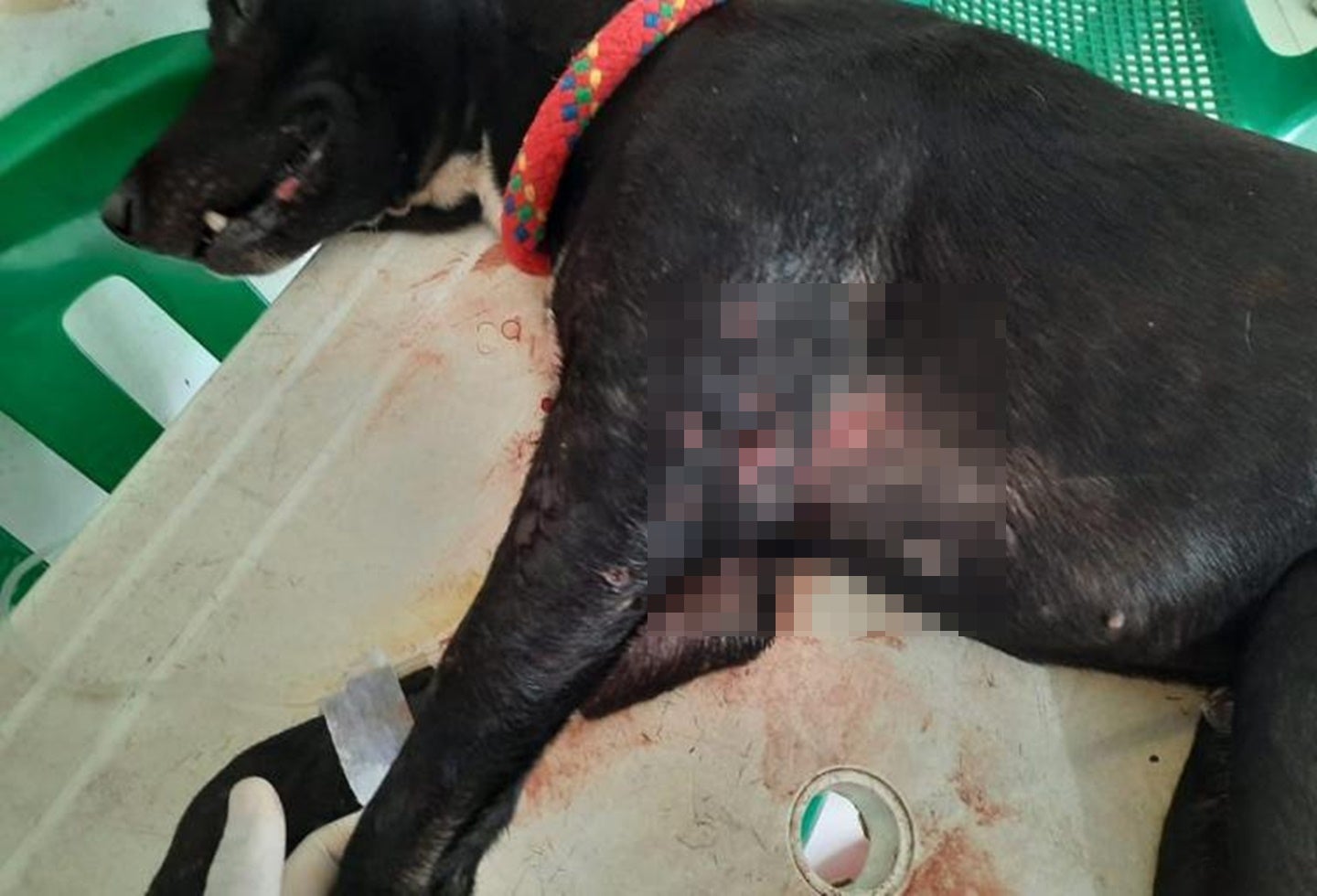 ¡Que joyita! Baleó a una pareja en la comuna 8 de Ibagué