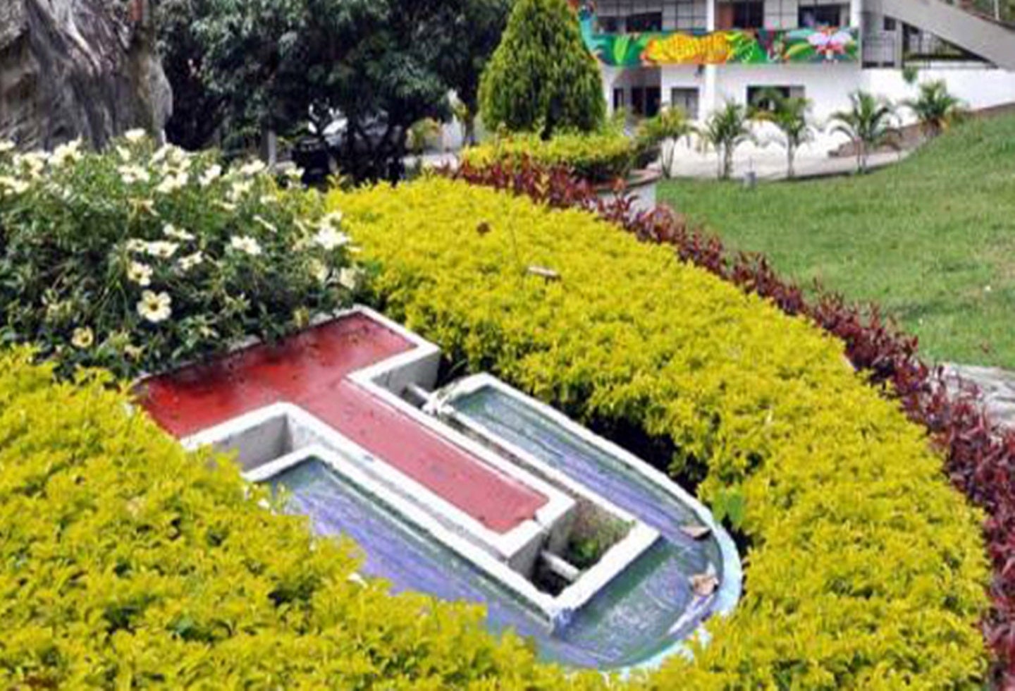 Universidad del Tolima