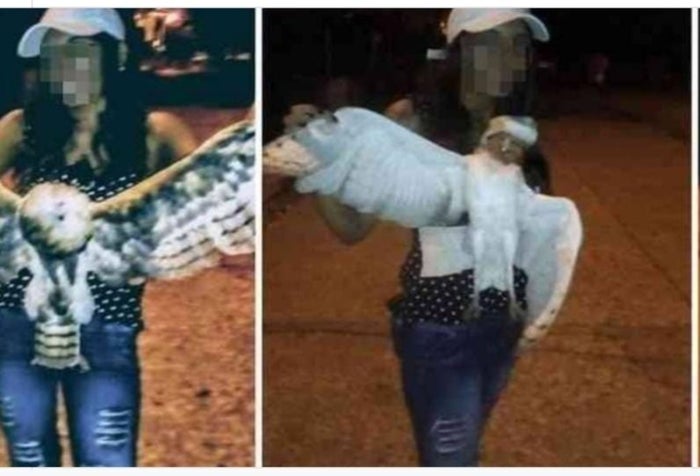 Asesinan a mujer que decapitó a una lechuza en Sucre