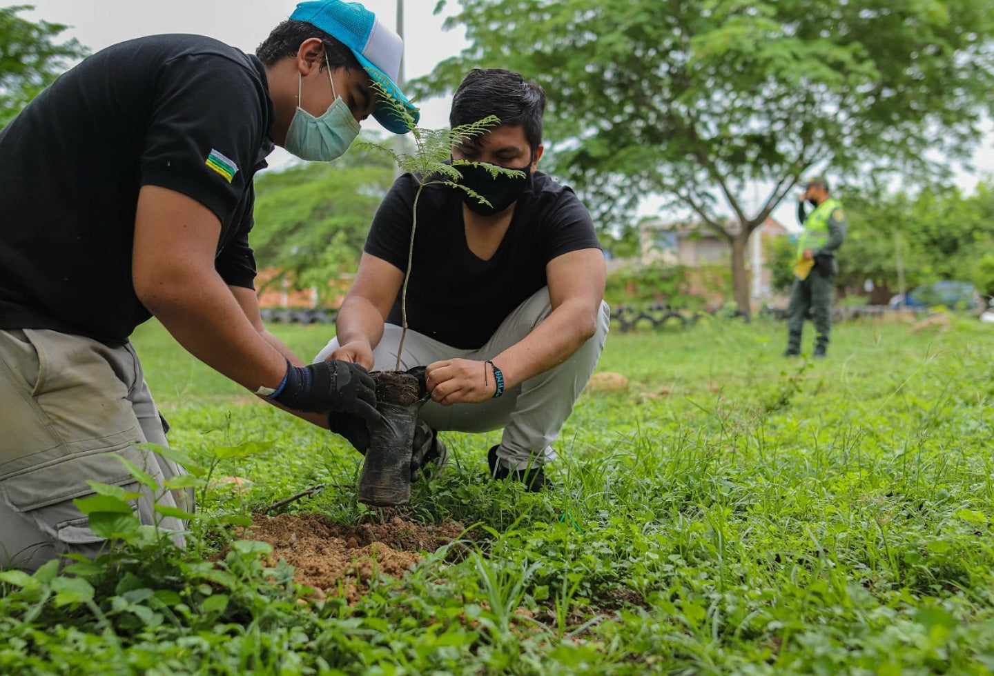 Estrategia Planta tu futuro, mejorará medio ambiente en Neiva