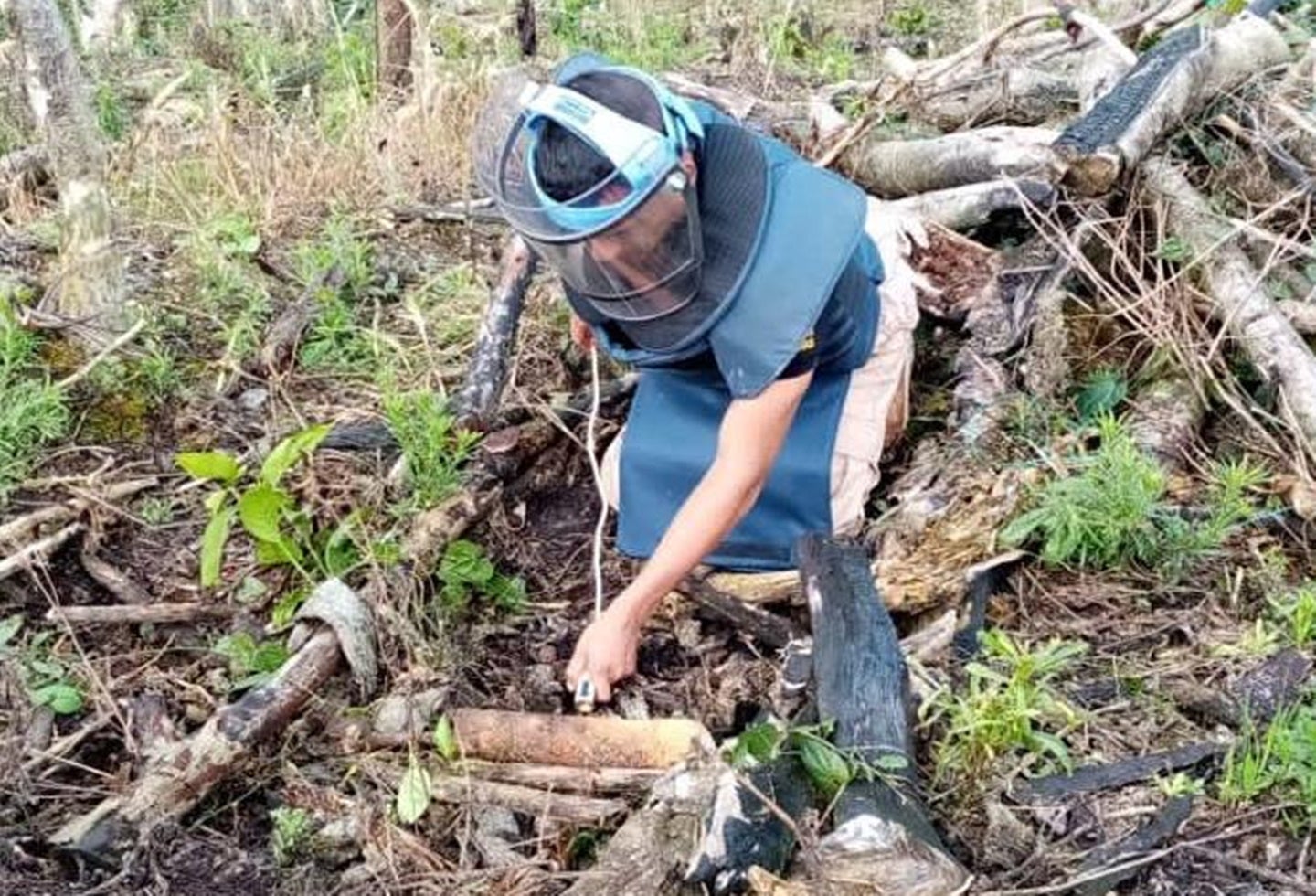 Destruyeron 6 minas antipersonales halladas en Planadas - Tolima