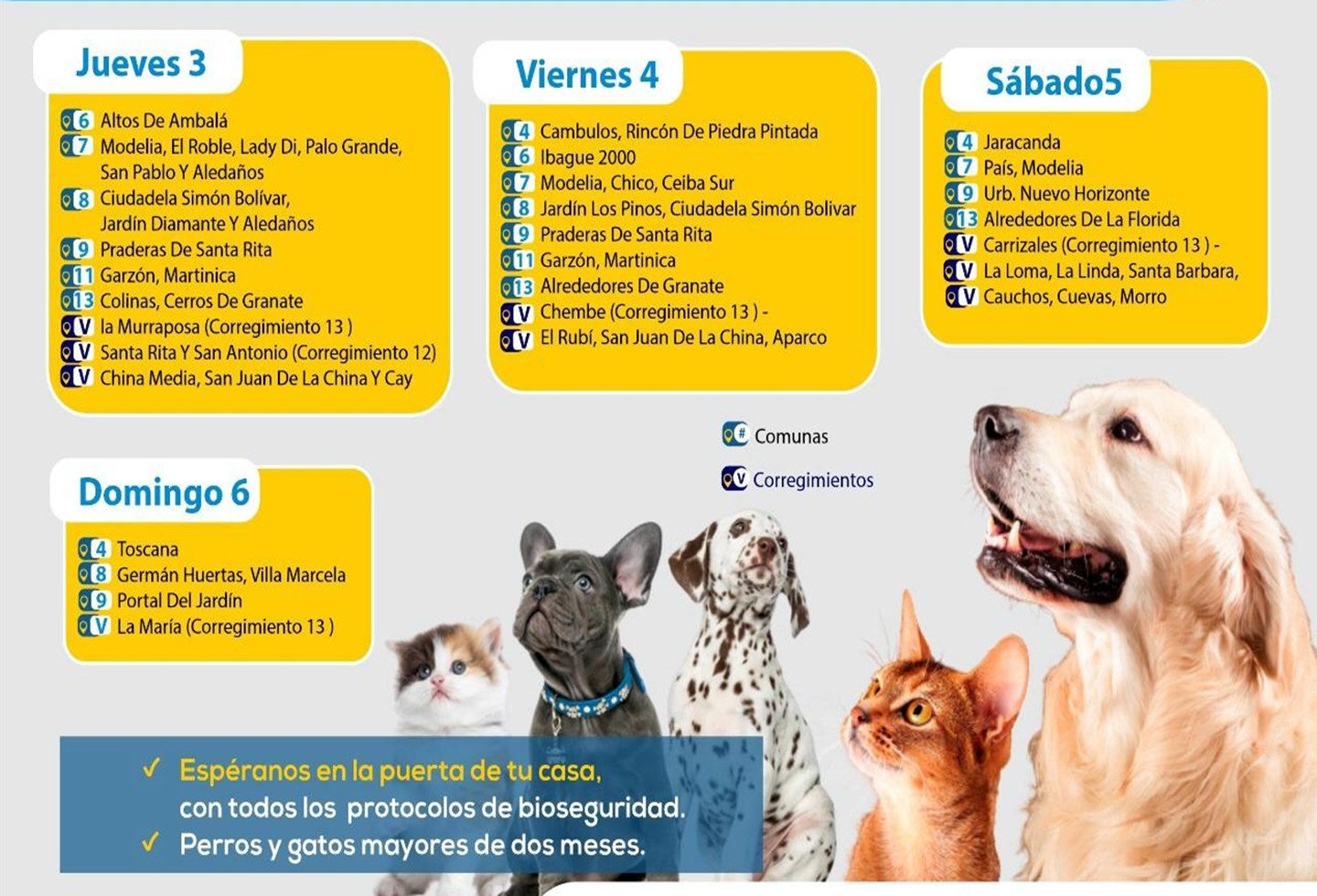 Jornada de Vacunación canina y felina