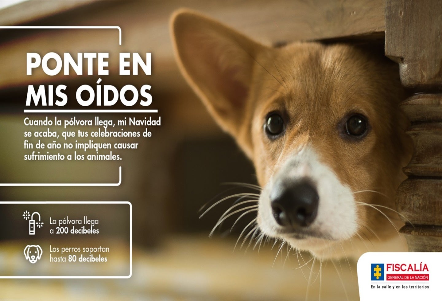 Fiscalía General de la Nación lanzó campaña ‘Ponte en mis Oídos’