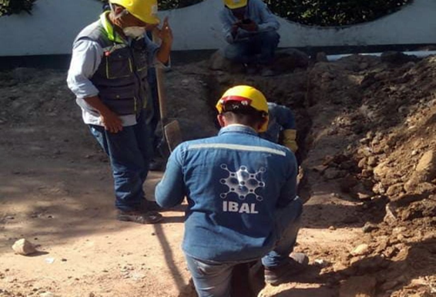 Trabajos del Ibal 2020