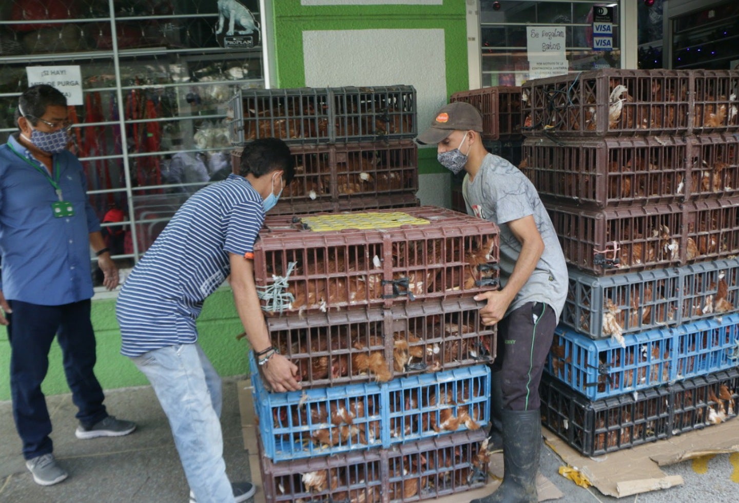Cuatro unidades productivas fueron entregadas a asociaciones de mujeres rurales