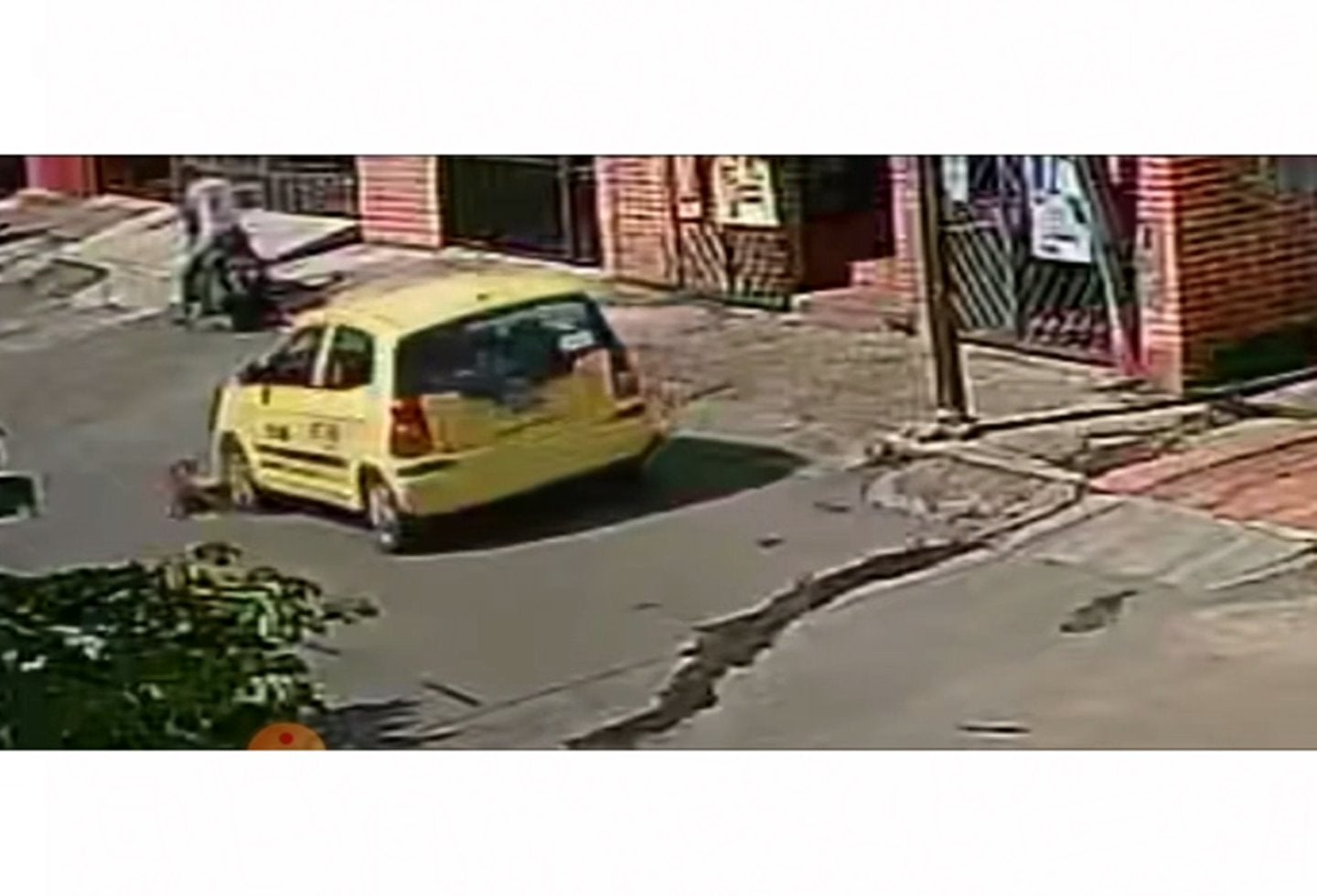 atropellan a mascota en el Salado