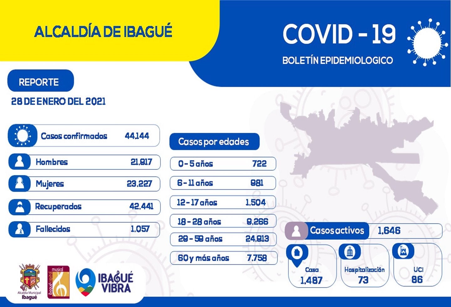 casos Covid-19--29 de enero 2021