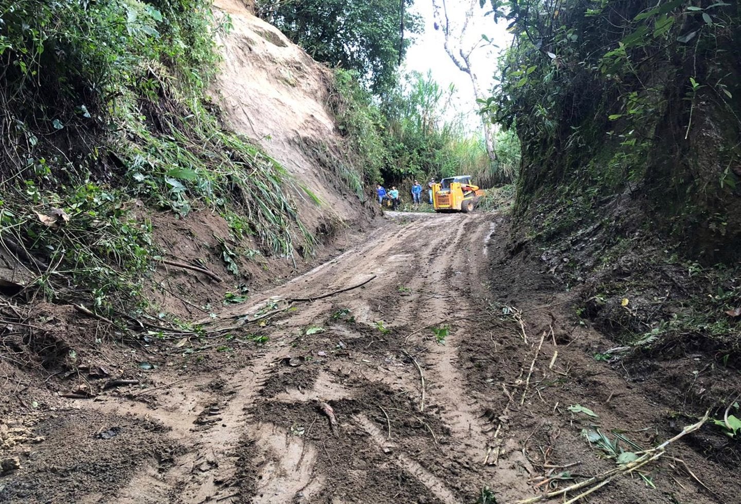 Malla vial rural de Ibagué