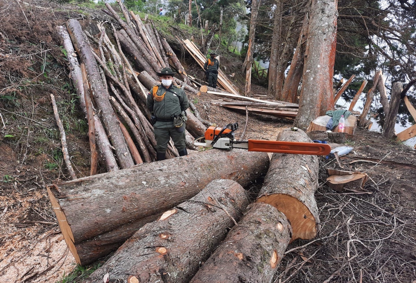 Balance positivo operativo Detol