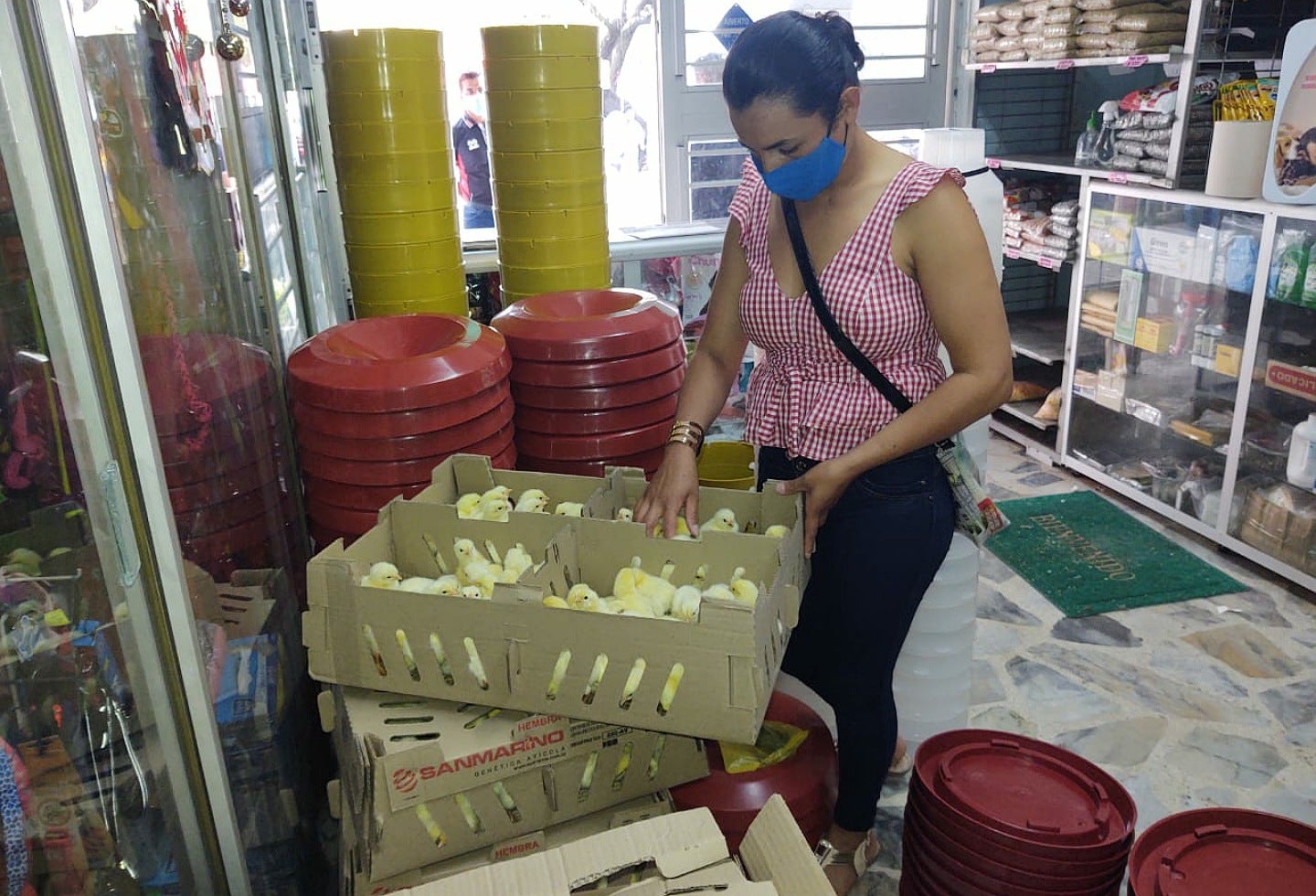 La Secretaría de Desarrollo Agropecuario apoyó a través de unidades productivas a los grupos asociativos de mujeres de la zona rural