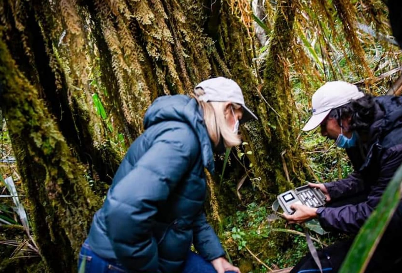 Cortolima Día del Oso