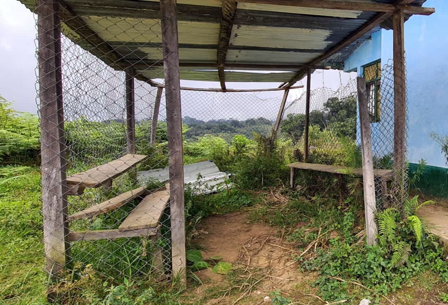 Denuncia colegios zona rural de Ibagué