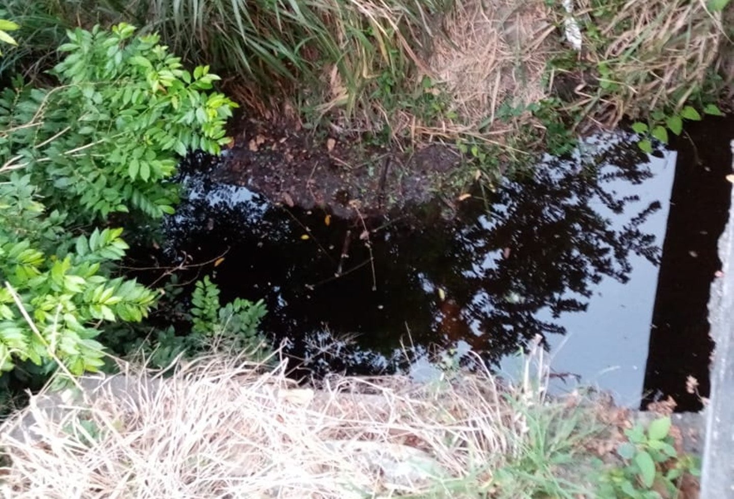 Apareció muerto un ciclista cerca del Parque Deportivo Villa Olímpica del Guamo