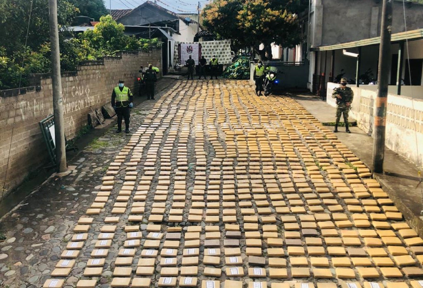 Plátanos Marihuana Huila