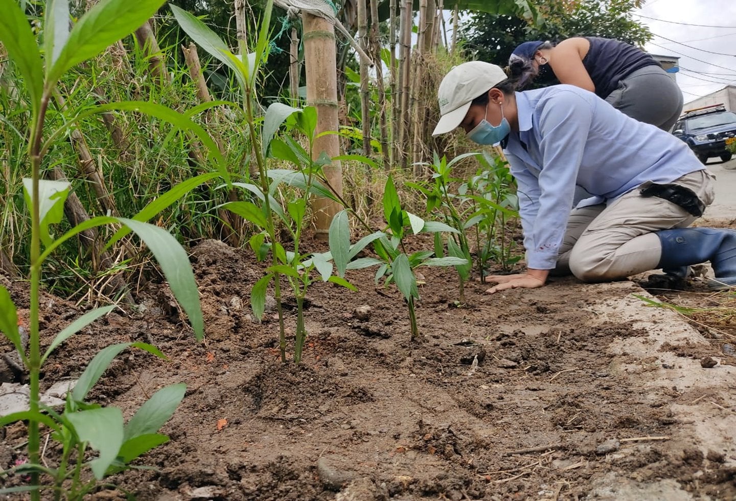 recuperación de zonas verdes en Ancón Tesorito