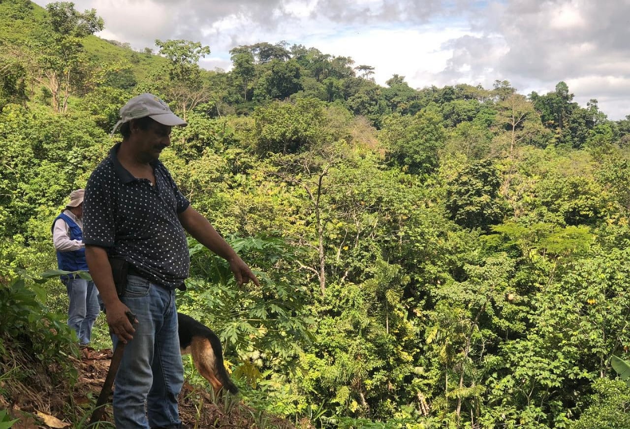 Restitución de tierras