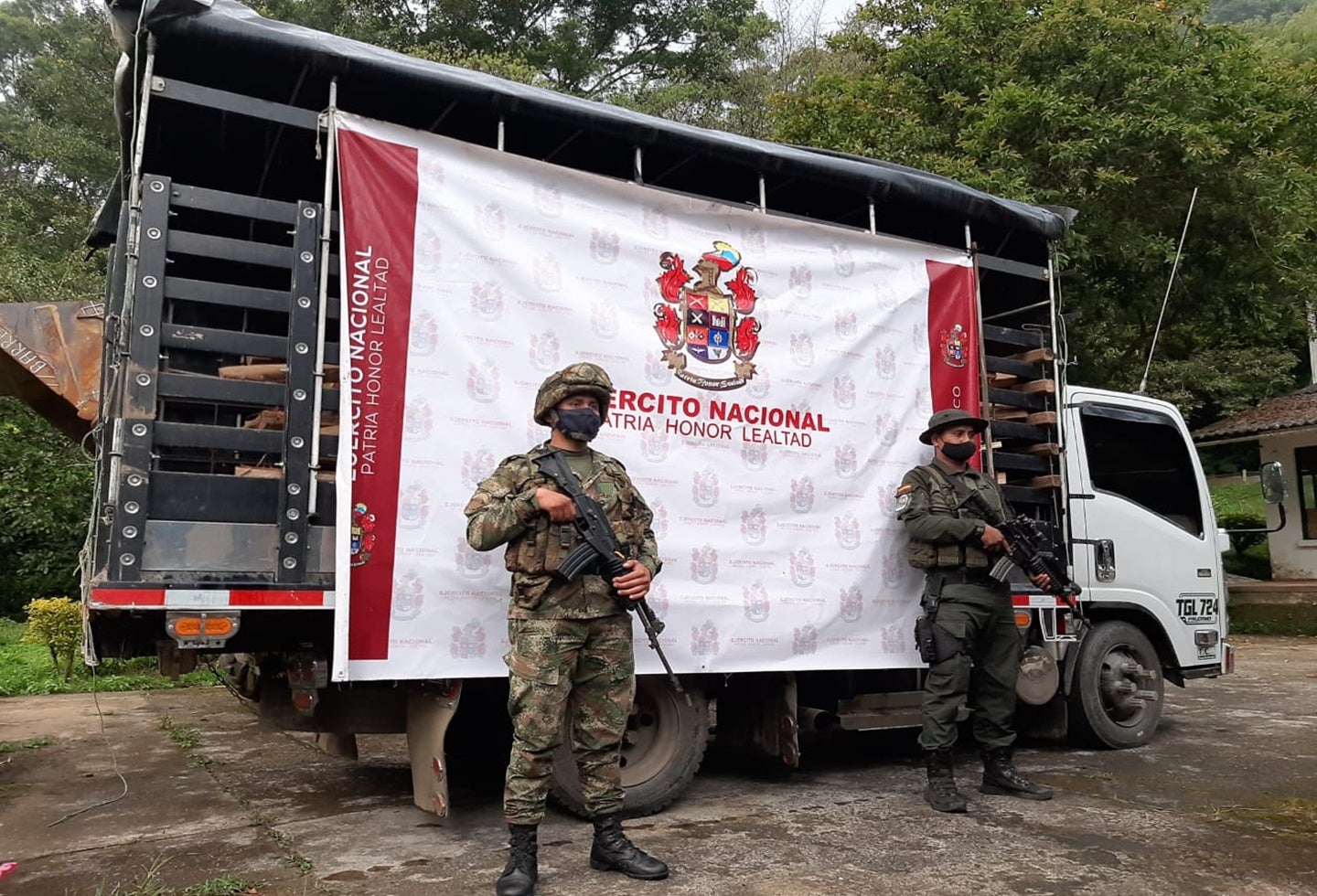 Ejército evitó la tala indiscriminada de árboles en el Tolima