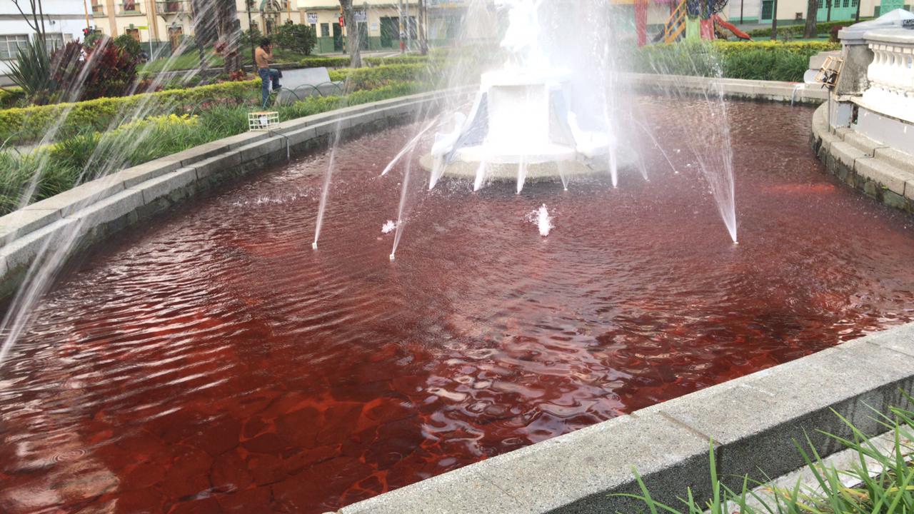 Afectaciones día de la mujer ibagué